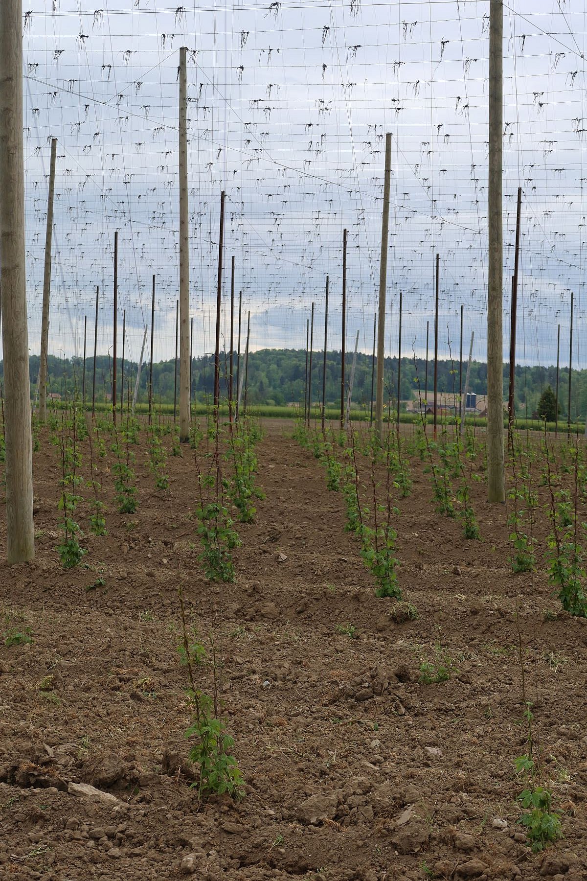 Betriebsausflug 2024, 21