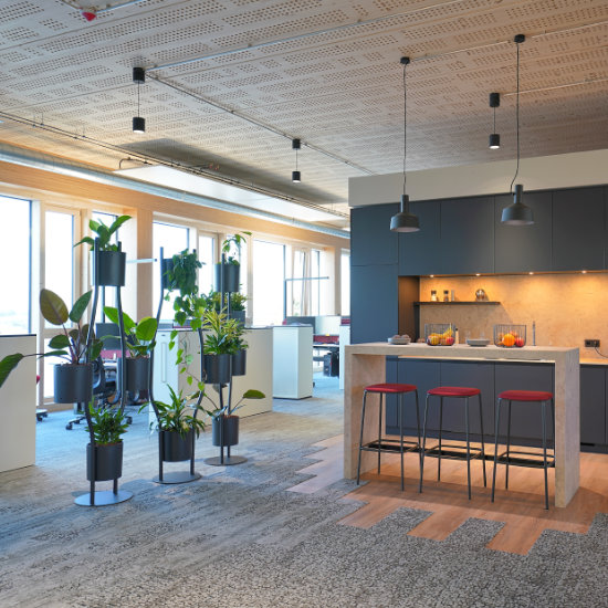 Penthouse Timber Town