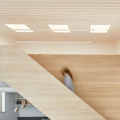 Umbau Schellingstrasse