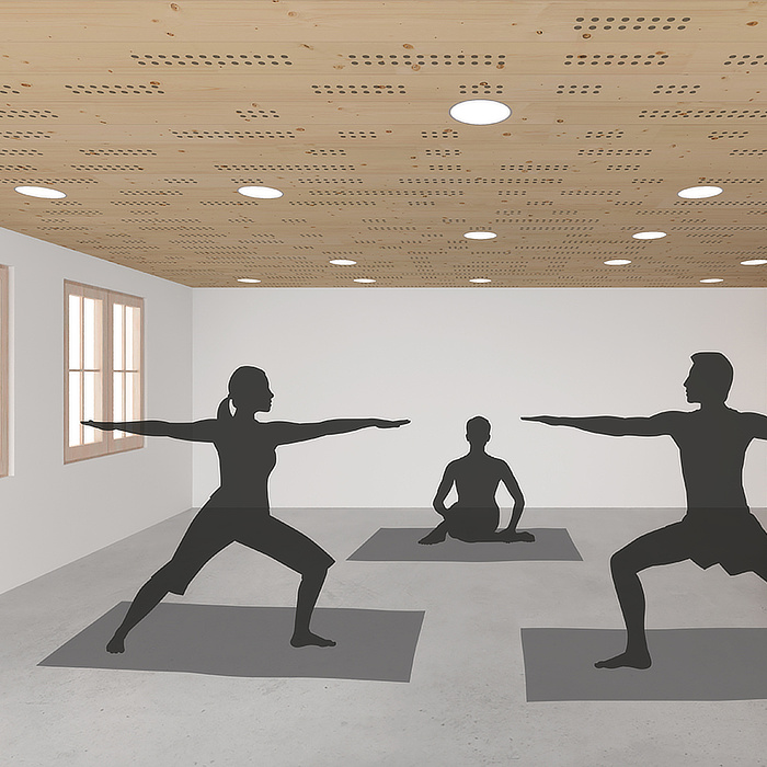 Variationen Akustik Typ 3.1 dyn. LKE