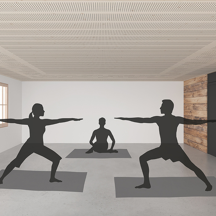 Variationen Akustik Typ 6 dyn LKE